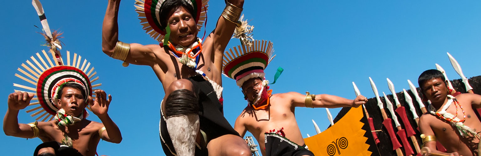 Nagaland Agriculture